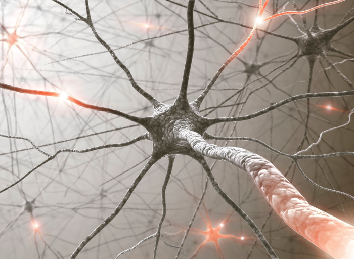 AAF Cognitive Endurance 3