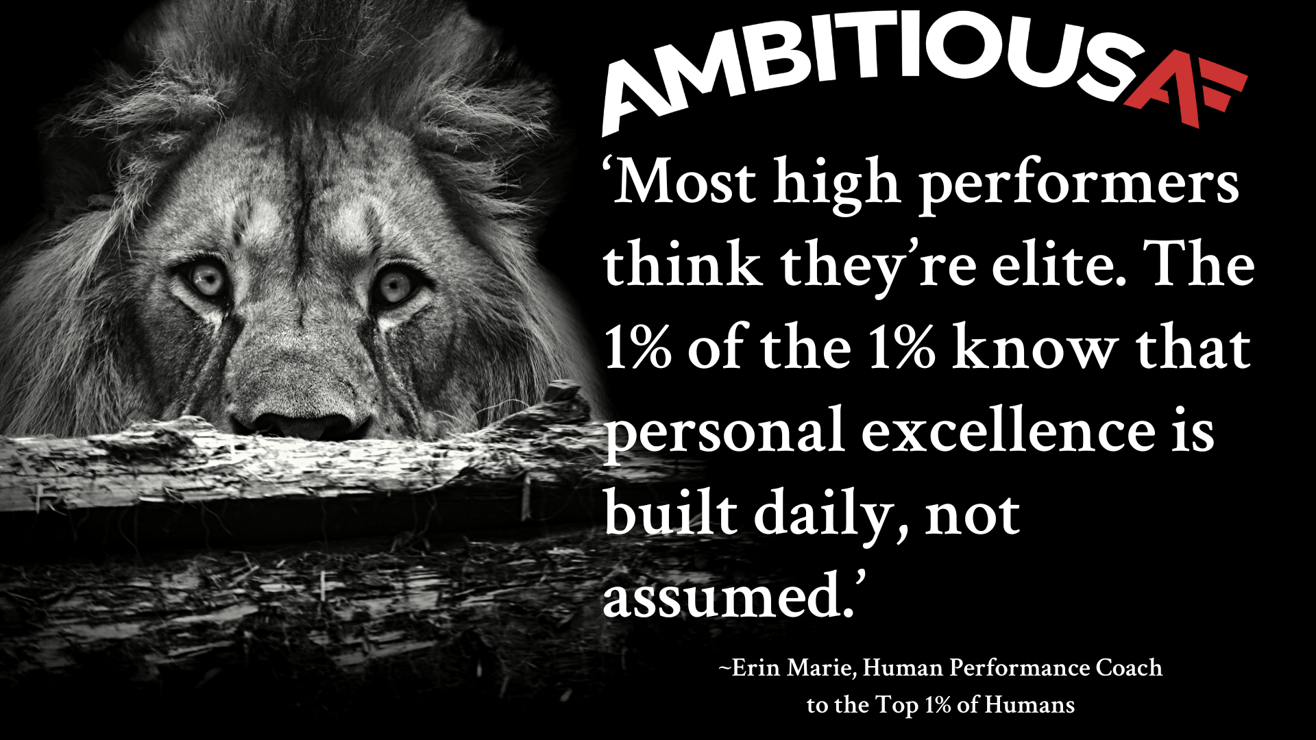 AAF Erin Marie Quote 2